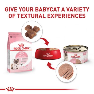 Image showing 5 th Royal Canin Mother & Babycat Instinctive Kitten Chicken Pate Wet Cat Food, 3 oz. Can