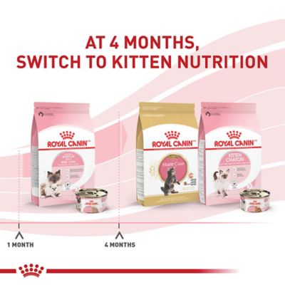 Image showing 6 th Royal Canin Mother & Babycat Instinctive Kitten Chicken Pate Wet Cat Food, 3 oz. Can