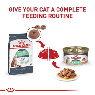 Image showing 6 th Royal Canin Feline Care Nutrition Digestive Care Thin Slices in Gravy Wet Cat Food, 3 oz.
