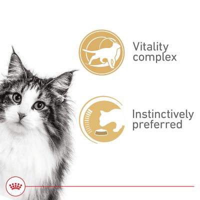 Image showing 5 th Royal Canin Instinctive 7+ Thin Slices In Gravy Canned Cat Food, 3 oz.