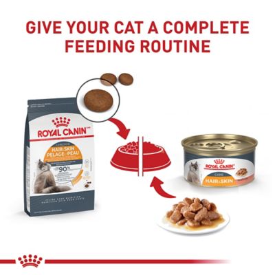 Image showing 5 th Royal Canin Care Hair & Skin Formula Wet Cat Food, 3 oz. Can