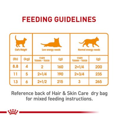 Image showing 6 th Royal Canin Care Hair & Skin Formula Wet Cat Food, 3 oz. Can