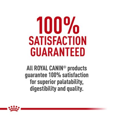 Image showing 7 th Royal Canin Spayed/Neutered Adult Thin Chicken Slices Wet Cat Food in Gravy, 3 oz. Can