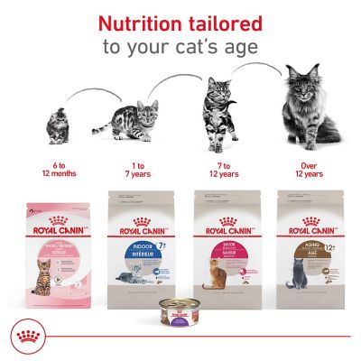 Image showing 8 th Royal Canin Spayed/Neutered Adult Thin Chicken Slices Wet Cat Food in Gravy, 3 oz. Can
