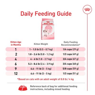 Image showing 6 th Royal Canin Feline Health Nutrition Kitten Dry Cat Food
