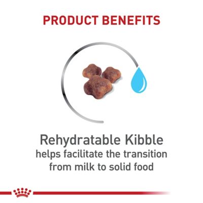 Image showing  Mother and Babycat Dry Cat Food