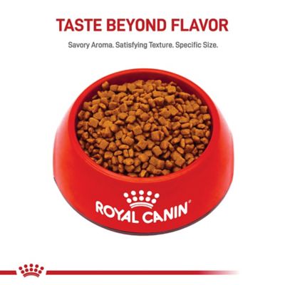Image showing 6 th Royal Canin Mother and Babycat Dry Cat Food
