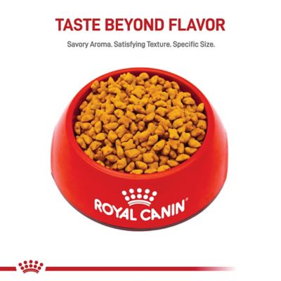 Image showing  Feline Health Nutrition Kitten Spayed/Neutered Dry Cat Food