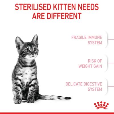 Image showing  Kitten Spayed/Neutered Chicken Recipe Dry Cat Food, 2.5 lb. Bag
