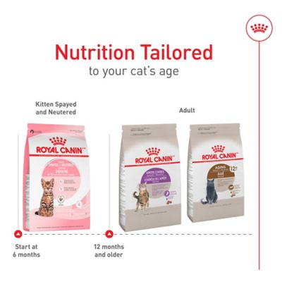 Image showing 6 th Royal Canin Feline Health Nutrition Kitten Spayed/Neutered Dry Cat Food