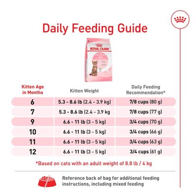 Image showing 7 th Royal Canin Feline Health Nutrition Kitten Spayed/Neutered Dry Cat Food