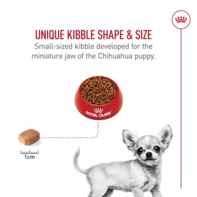 Image showing  Breed Health Nutrition Chihuahua Puppy Dry Dog Food