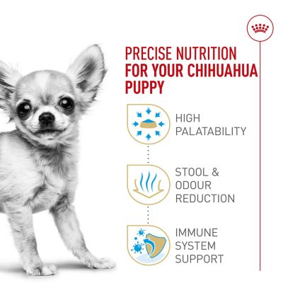 Image showing  Breed Health Nutrition Chihuahua Puppy Dry Dog Food