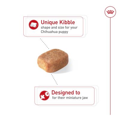 Image showing  Breed Health Nutrition Chihuahua Puppy Dry Dog Food