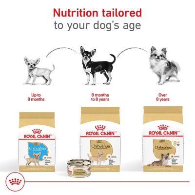 Image showing 5 th Royal Canin Breed Health Nutrition Chihuahua Puppy Dry Dog Food