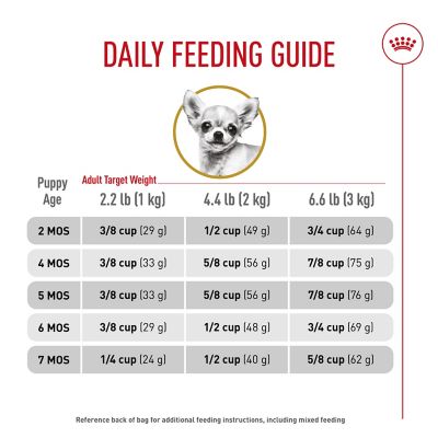 Image showing 7 th Royal Canin Breed Health Nutrition Chihuahua Puppy Dry Dog Food