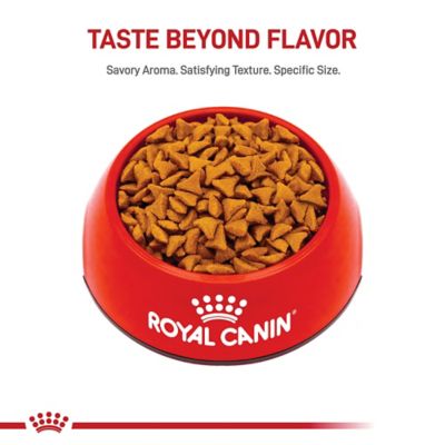 Image showing  Feline Care Nutrition Hairball Care Adult Dry Cat Food