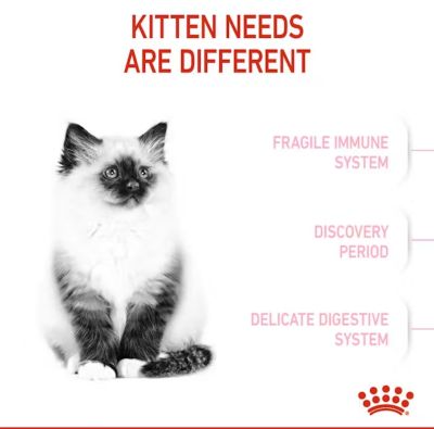Image showing  Kitten Chicken Recipe Dry Cat Food