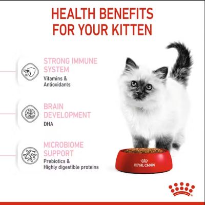 Image showing  Kitten Chicken Recipe Dry Cat Food