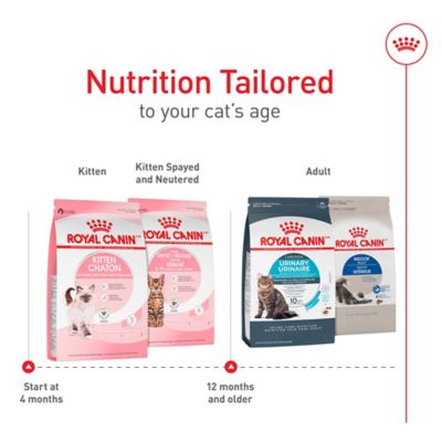 Image showing  Feline Health Nutrition Kitten Dry Cat Food