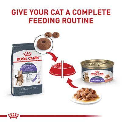 Image showing 7 th Royal Canin Feline Care Nutrition Appetite Control Dry Cat Food