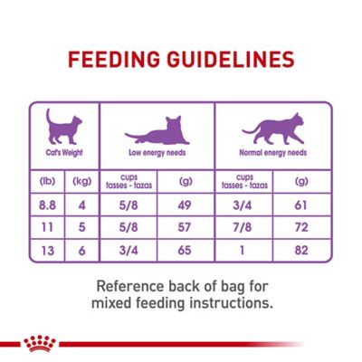 Image showing 8 th Royal Canin Feline Care Nutrition Appetite Control Dry Cat Food