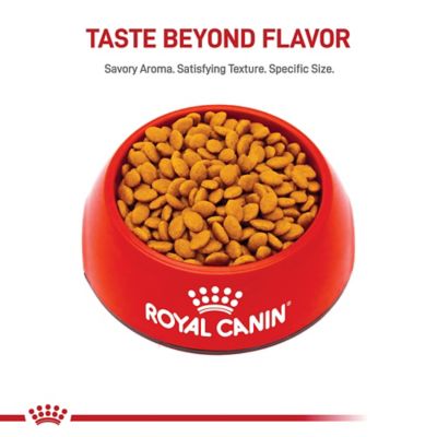 Image showing  Feline Breed Nutrition Adult Persian Dry Cat Food