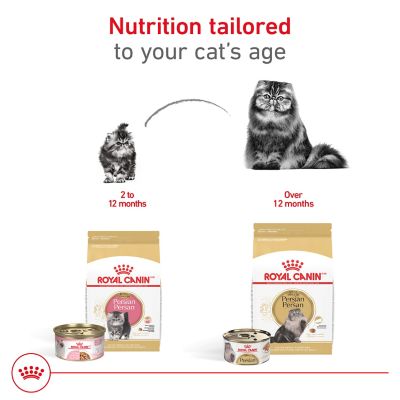 Image showing 6 th Royal Canin Feline Breed Nutrition Adult Persian Dry Cat Food