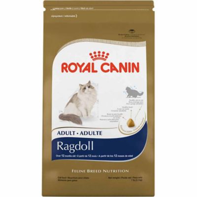 Royal Canin Breed Health Nutrition Ragdoll Dry Cat Food, 7 Lb. | Kare