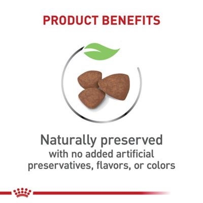 Image showing  Size Health Nutrition Puppy Small Breed Chicken Recipe Dry Dog Food