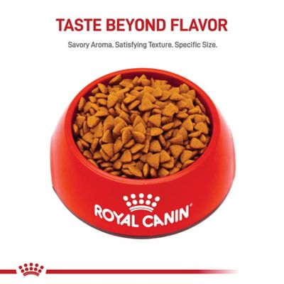 Image showing  Size Health Nutrition Puppy Small Breed Chicken Recipe Dry Dog Food