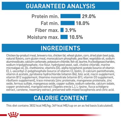 Image showing 5 th Royal Canin Size Health Nutrition Puppy Small Breed Chicken Recipe Dry Dog Food