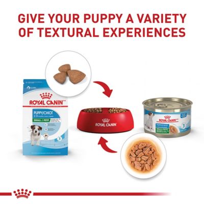 Image showing 8 th Royal Canin Size Health Nutrition Puppy Small Breed Chicken Recipe Dry Dog Food