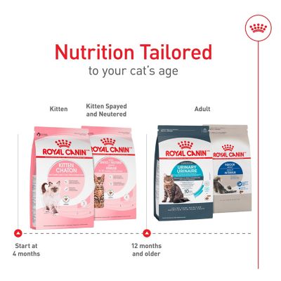 Image showing 6 th Royal Canin Feline Health Nutrition Kitten Dry Cat Food, 14 lb.