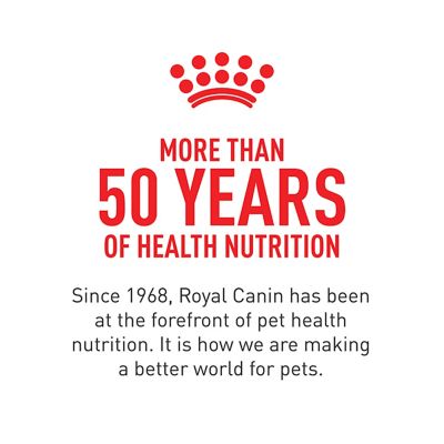Image showing 9 th Royal Canin Feline Health Nutrition Kitten Dry Cat Food, 14 lb.