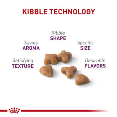 Image showing  Feline Health Nutrition Adult Sensitive Digestion Dry Cat Food