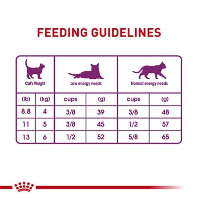 Image showing 7 th Royal Canin Feline Health Nutrition Adult Sensitive Digestion Dry Cat Food