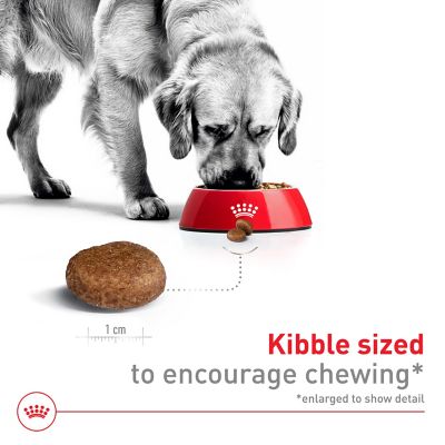 Image showing  Size Health Nutrition Adult 5+ Large Breed Chicken Recipe Dry Dog Food