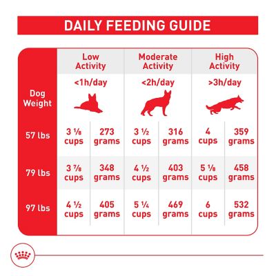 Image showing 5 th Royal Canin Size Health Nutrition Adult 5+ Large Breed Chicken Recipe Dry Dog Food
