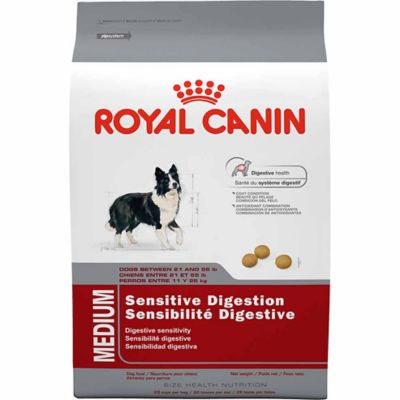 Restore Your Canine Companion's Health with the Top-Rated Royal Canin