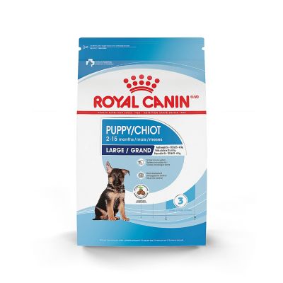 Royal Canin Size Health Maxi Large Breed Puppy Chicken Recipe Dry Dog Food