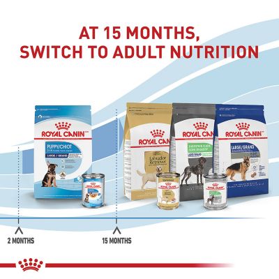 Image showing 8 th Royal Canin Large Puppy Dry Dog Food