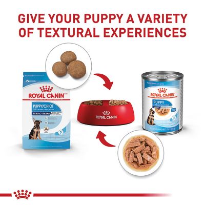 Image showing 9 th Royal Canin Large Puppy Dry Dog Food