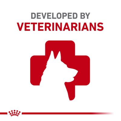 Image showing  Breed Health Nutrition Bulldog Puppy Dry Dog Food