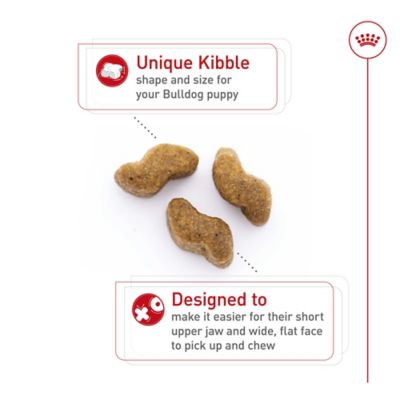 Image showing  Breed Health Nutrition Bulldog Puppy Dry Dog Food