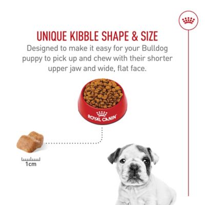 Image showing 6 th Royal Canin Breed Health Nutrition Bulldog Puppy Dry Dog Food