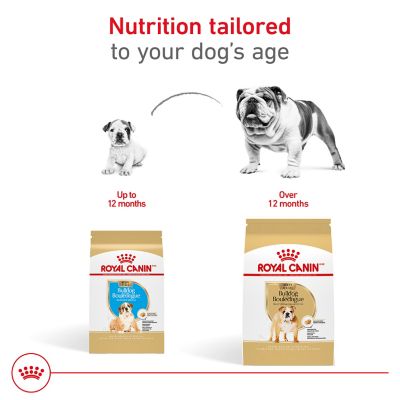 Image showing 7 th Royal Canin Breed Health Nutrition Bulldog Puppy Dry Dog Food