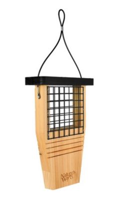 Image showing  Cedar Tail Prop Suet Feeder