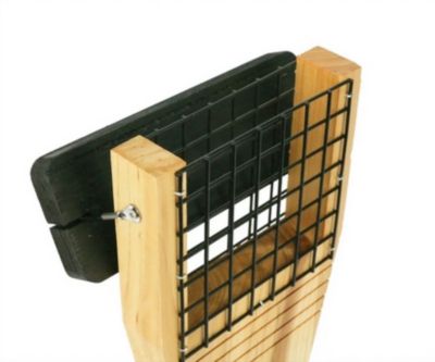 Image showing  Cedar Tail Prop Suet Feeder