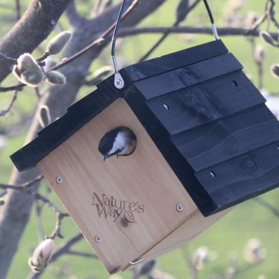 Image showing  Cedar Traditional Wren Bird House, 8-7/8 x 8-1/8 x 8in.